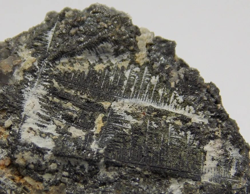 Rammelsbergite