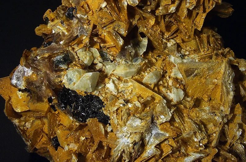 Apatite, Muscovite