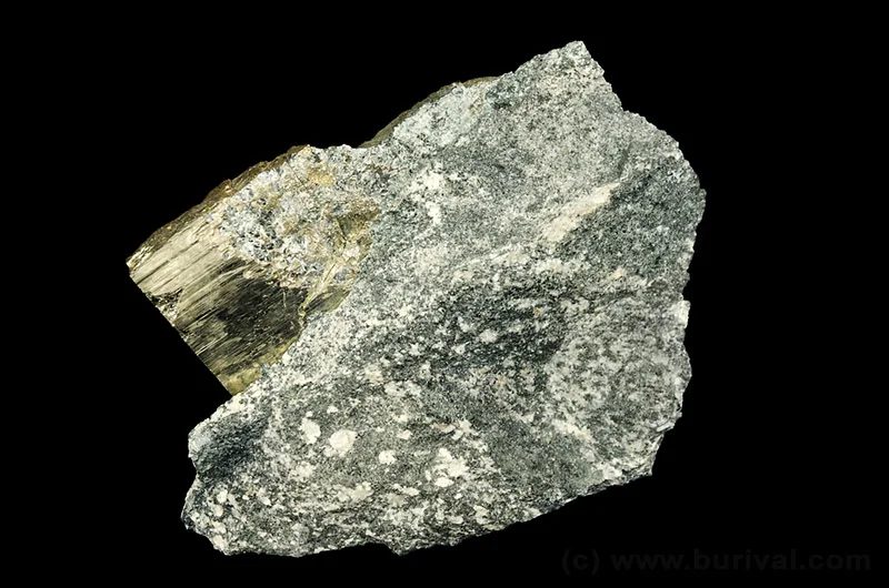 Mineral photo of Pyrite from locality Mirošov, Czech Republic