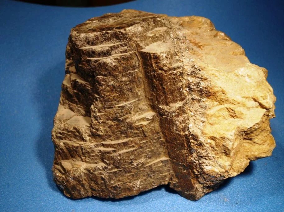 Mineral photo of Sekaninaite from locality Dolní Bory, Czech Republic