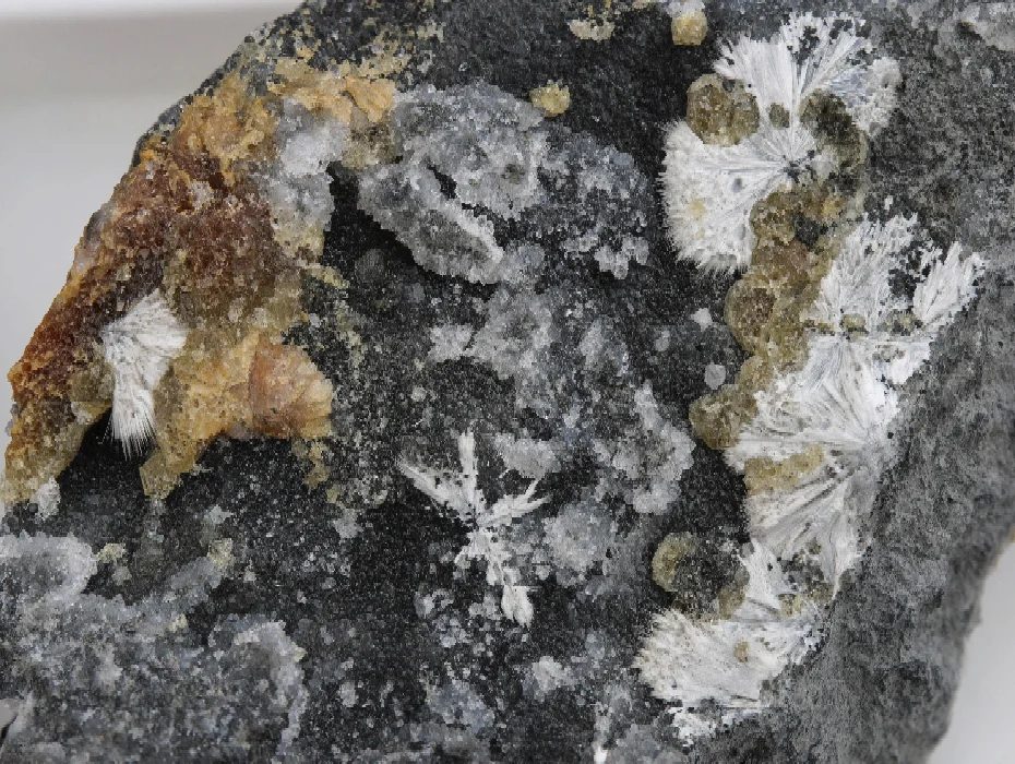 Calcite, Dawsonite, Dolomite