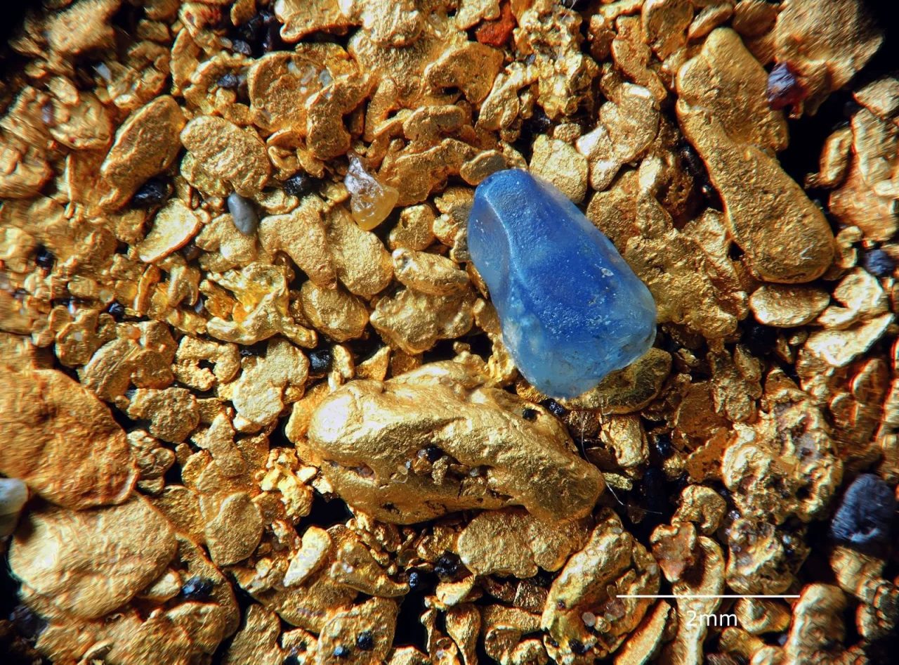 Corundum (var. sapphire), Gold