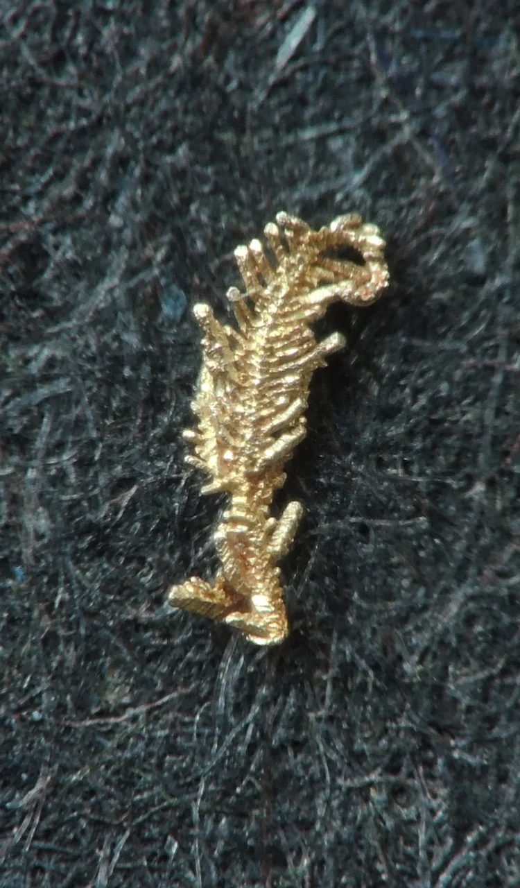 Mineral photo of Gold from locality Svoboda nad Úpou, Czech Republic