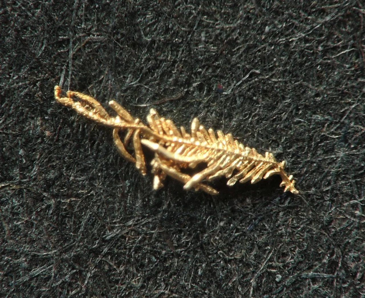 Mineral photo of Gold from locality Svoboda nad Úpou, Czech Republic