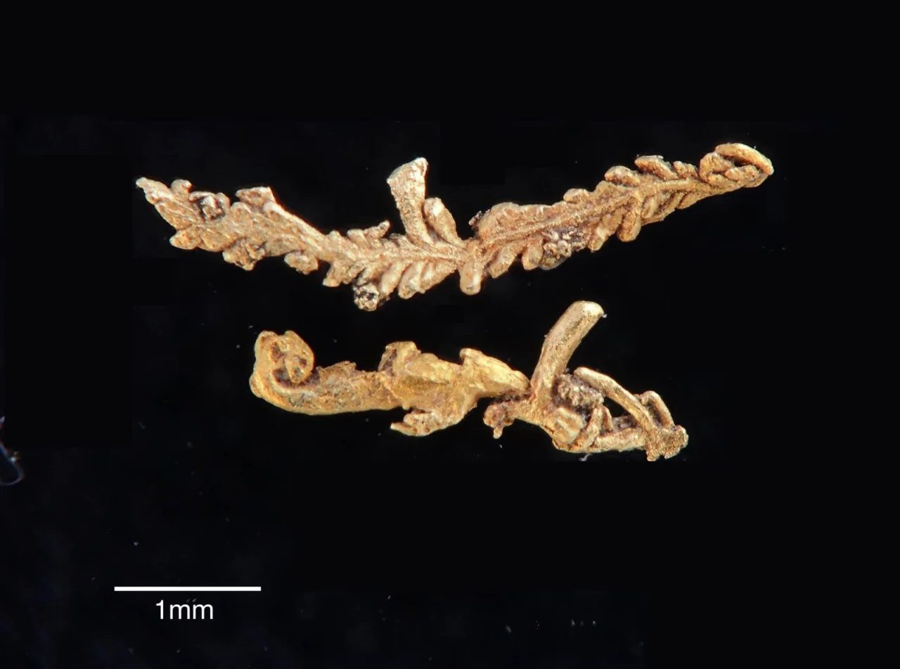 Mineral photo of Gold from locality Svoboda nad Úpou, Czech Republic