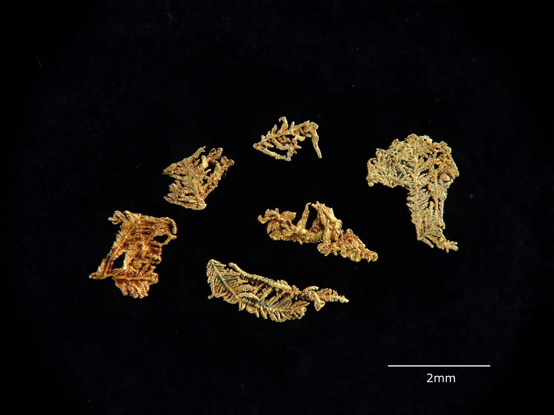 Gold