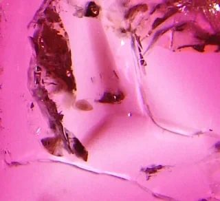 Mineral photo of Elbaite (var. rubellite) from locality Malkhan, Russia
