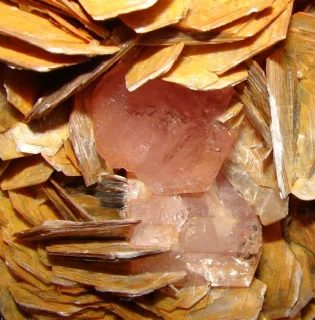 Mineral photo of Fluorapatite, Muscovite from locality Shigar District, Gilgit-Baltistan, Pakistan