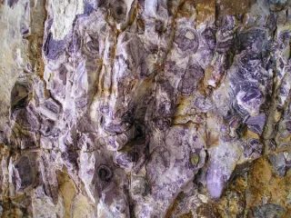 Mineral photo of Fluorite from locality Hutag Ull Ord, Mongolia