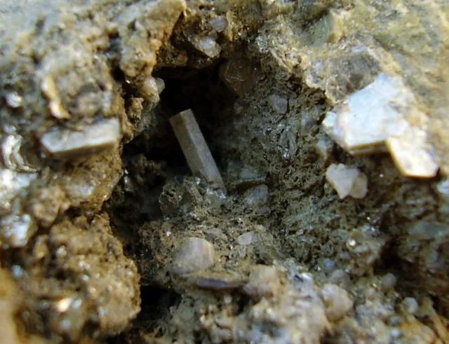 Fluorapatite