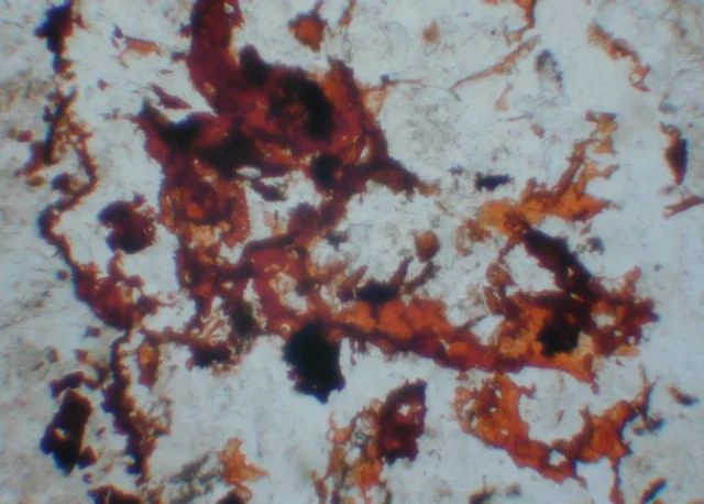 Lepidocrocite