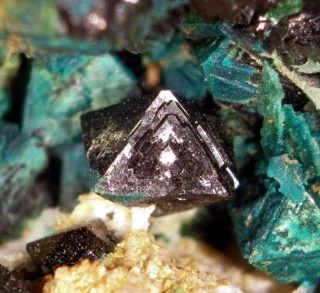 Mineral photo of Libethenite, Pseudomalachite from locality Lubietová, Slovakia