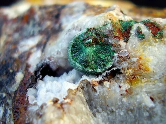 Mineral photo of Malachite from locality Borovec, Czech Republic