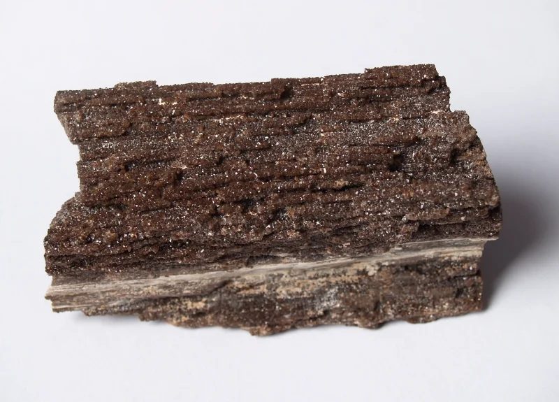 Quartz (var. petrified wood)