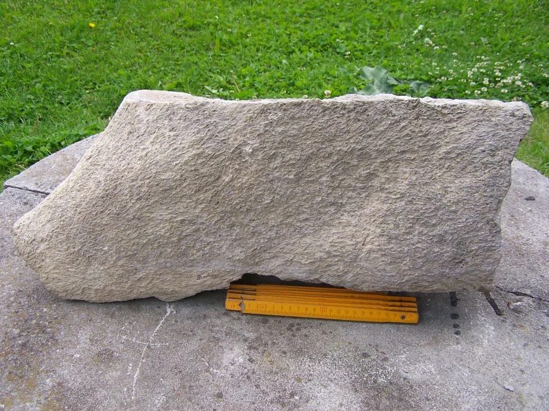 Quartz (var. petrified wood)