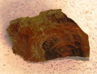 Mineral photo of Quartz (var. petrified wood) from locality Pastuchovice, Czech Republic
