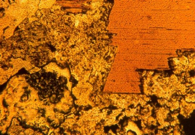 Phlogopite