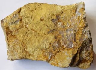 Mineral photo of Opal (var. precious) from locality Dubník, Slovakia