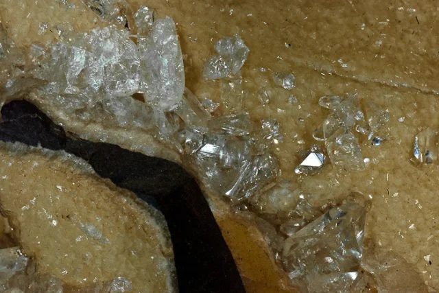 Whewellite