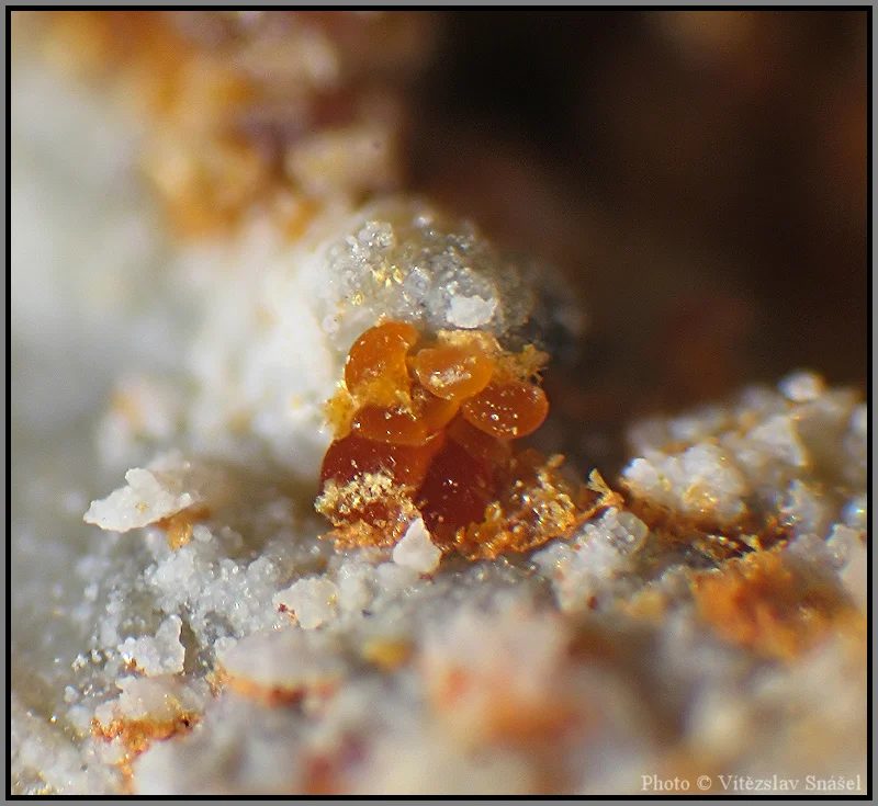 Mineral photo of Cacoxenite from locality La Lande quarry, Brittany, France
