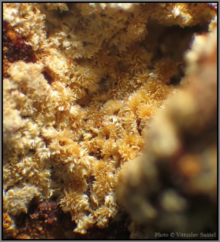 Mineral photo of Cacoxenite from locality La Lande quarry, Brittany, France