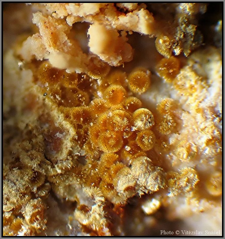 Mineral photo of Cacoxenite from locality La Lande quarry, Brittany, France
