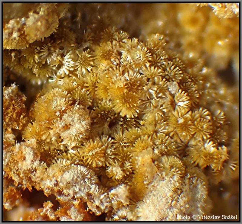 Mineral photo of Cacoxenite from locality La Lande quarry, Brittany, France