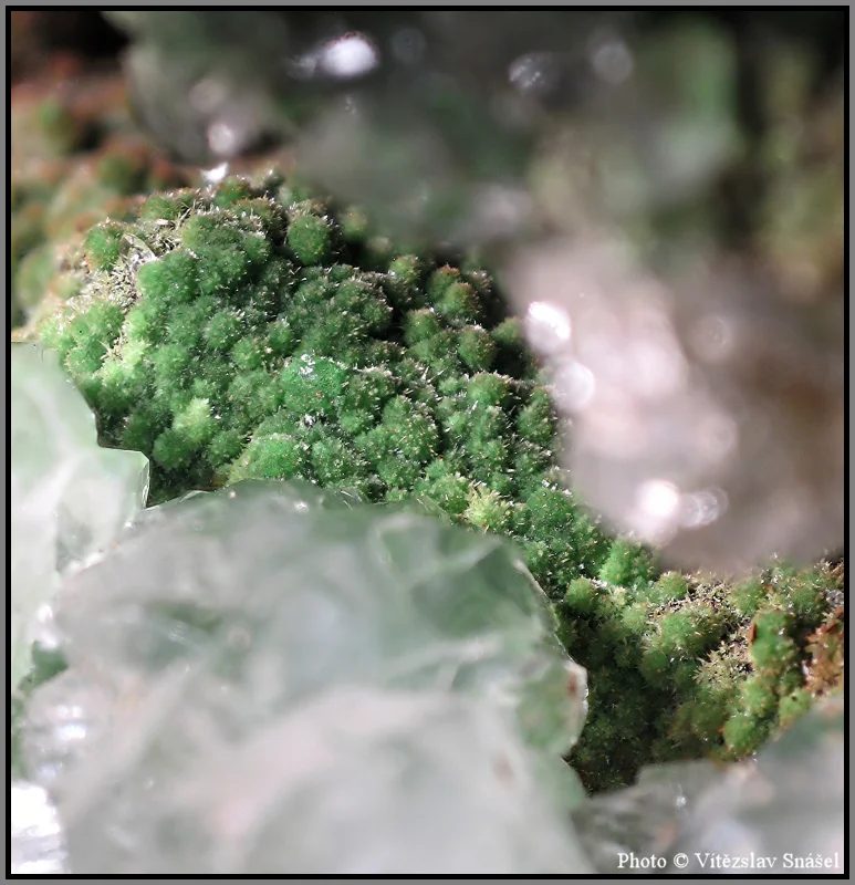 Mineral photo of Conichalcite from locality Ojuela Mine, Mexico
