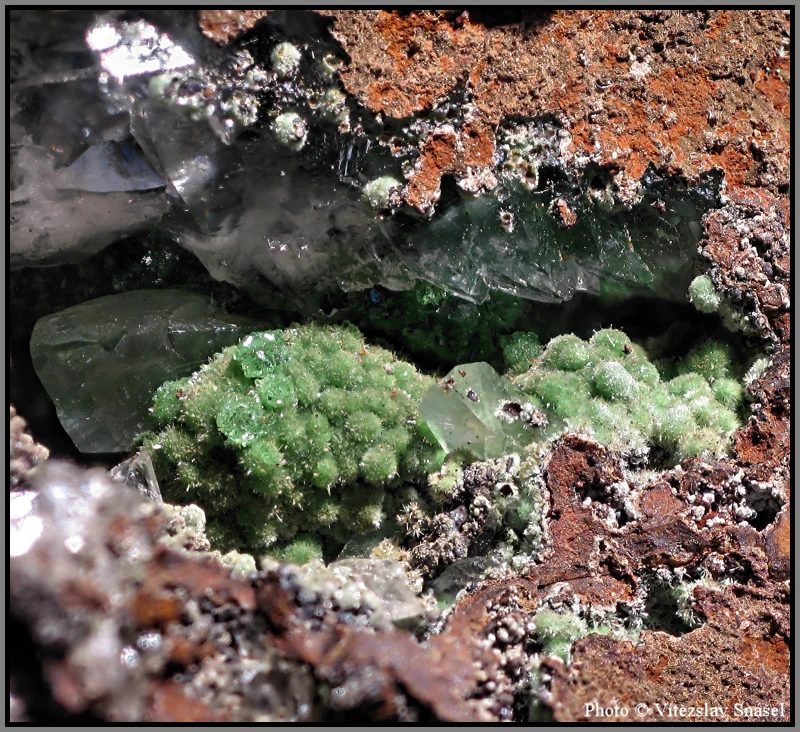 Mineral photo of Conichalcite from locality Ojuela Mine, Mexico