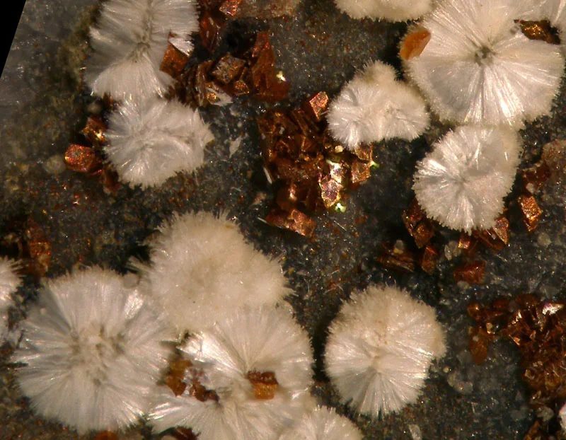 Dawsonite, Siderite