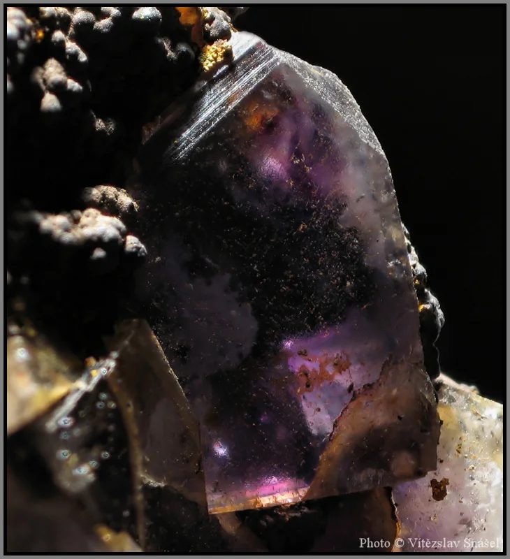 Mineral photo of Fluorite from locality Budjgar, Mongolia
