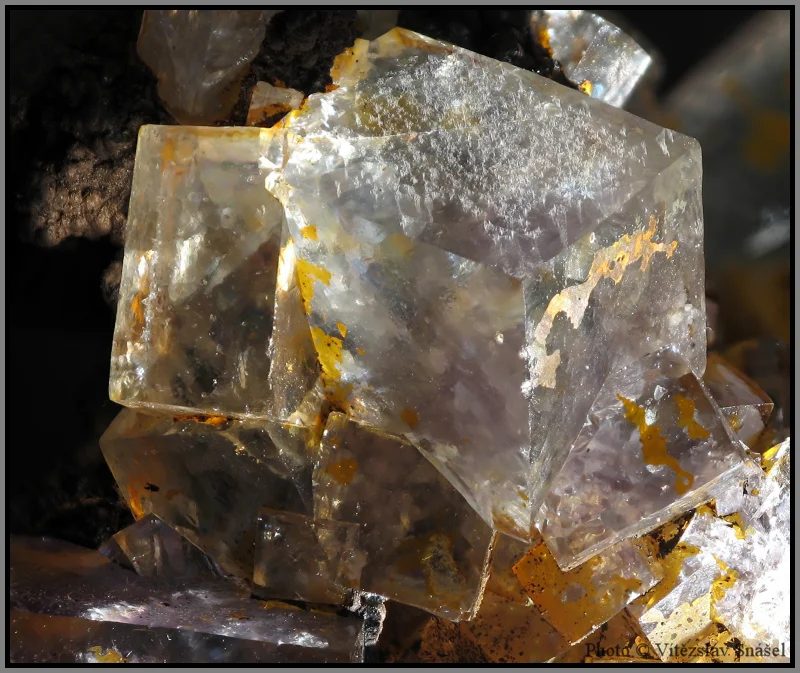 Mineral photo of Fluorite from locality Budjgar, Mongolia