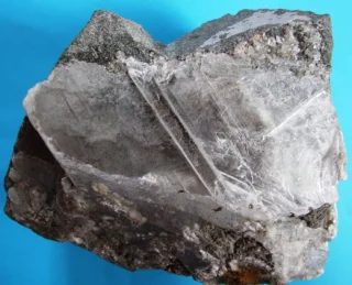 Gypsum