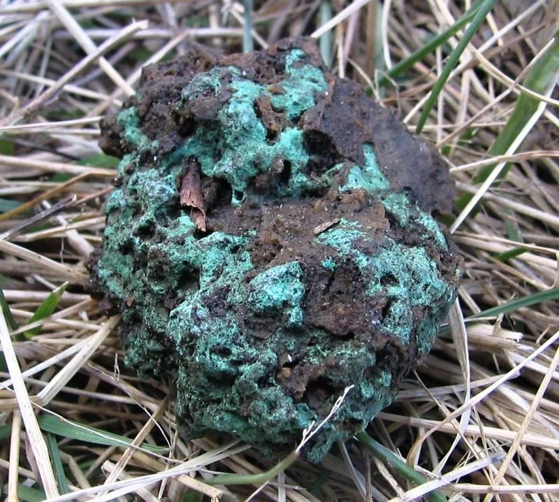 Mineral photo of Malachite from locality Borovec, Czech Republic