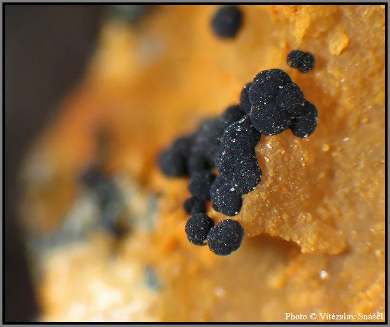 Mineral photo of Natrodufrénite from locality La Lande quarry, Brittany, France