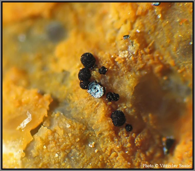 Mineral photo of Natrodufrénite from locality La Lande quarry, Brittany, France