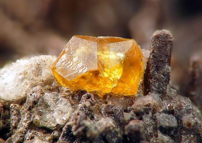 Chabazite (var. phacolite)