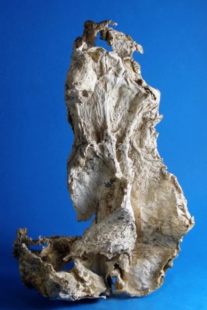 Mineral photo of Palygorskite from locality Krty, Czech Republic