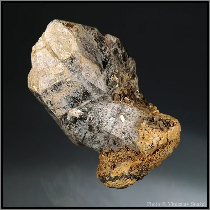 Mineral photo of Albite, Muscovite, Quartz (var. smoky) from locality Bobrůvka, Czech Republic