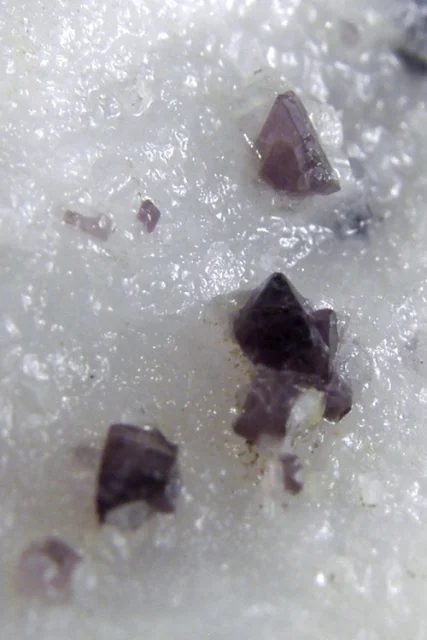 Mineral photo of Spinel from locality Krty, Czech Republic