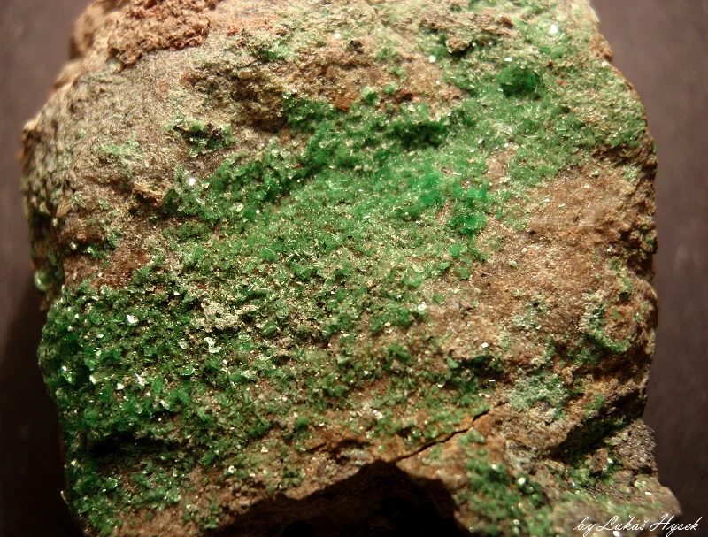 Mineral photo of Zeunerite from locality Zálesí, Czech Republic