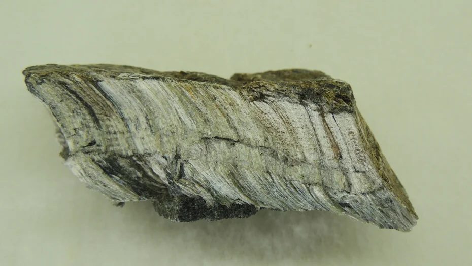 Chrysotile