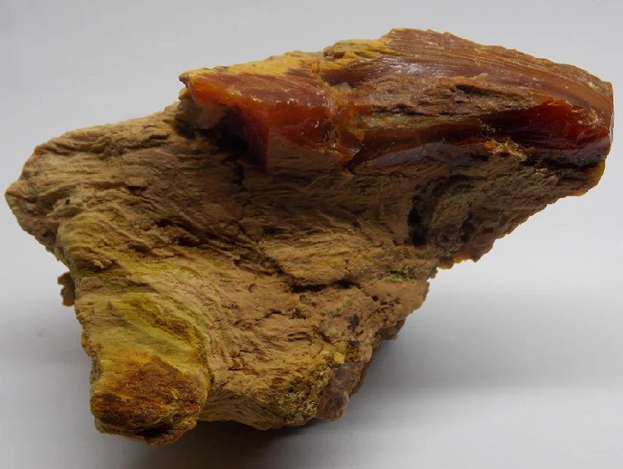 Opal (var. wood opal)