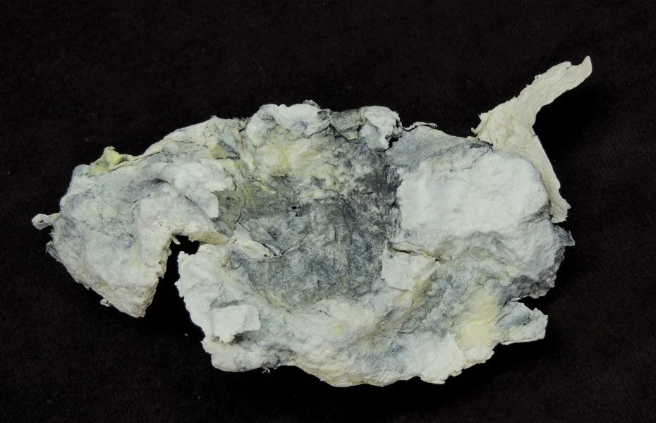 Palygorskite