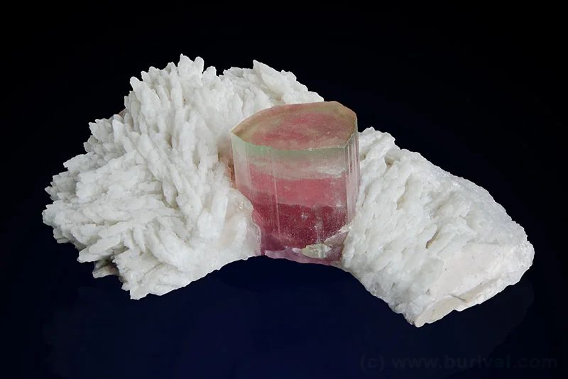 Albite, Elbaite