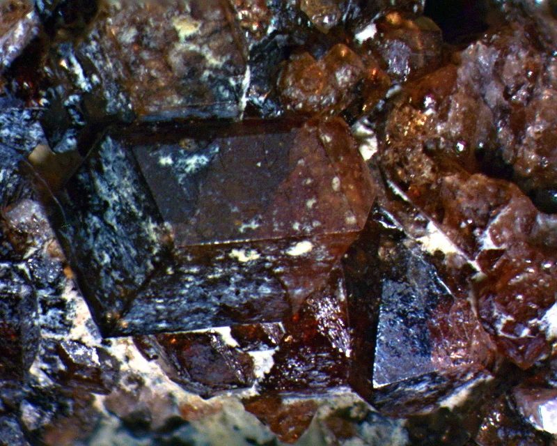Garnet