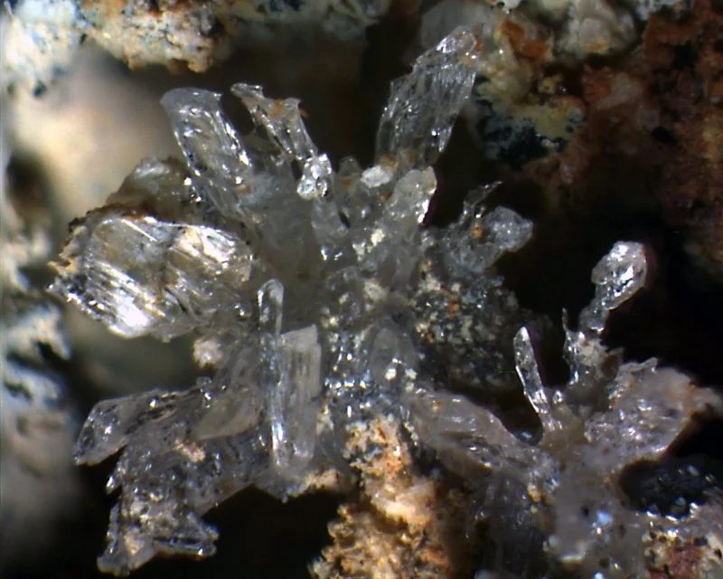 Mineral photo of Gypsum from locality Mirošov, Czech Republic