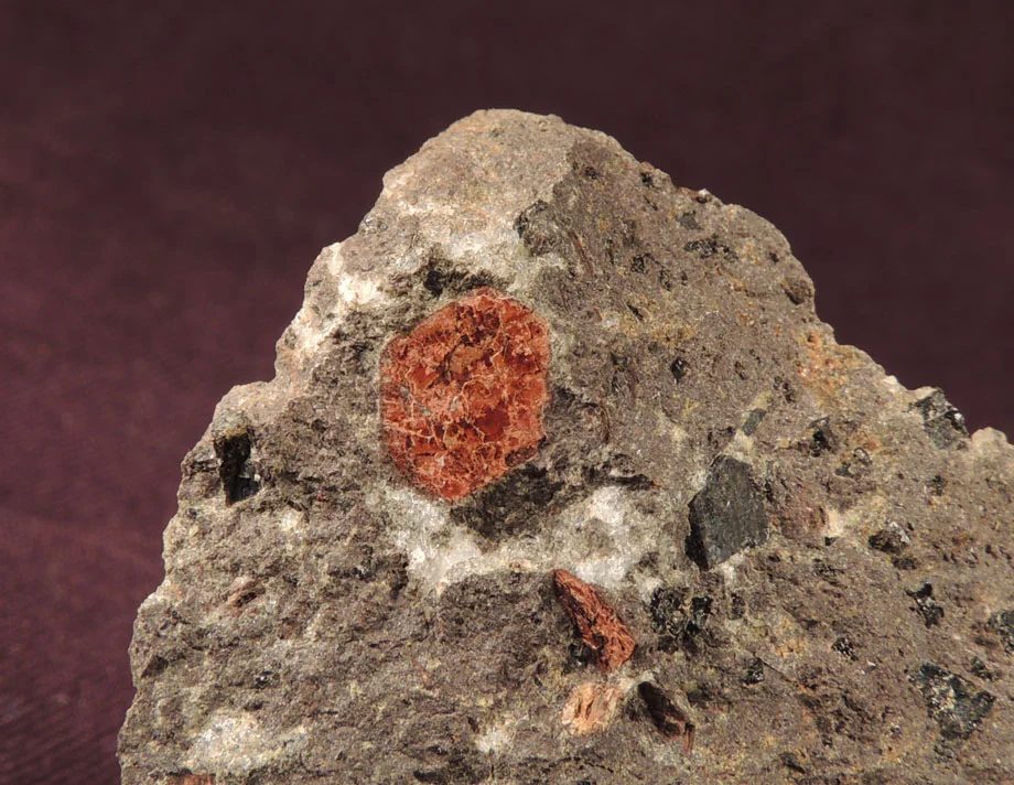 Biotite