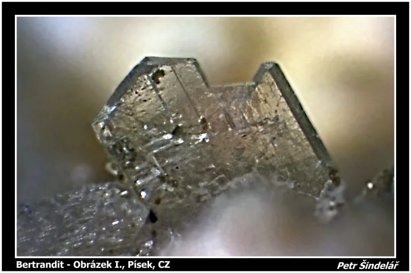 Mineral photo of Bertrandite from locality Obrázek I. Písek, Czech Republic