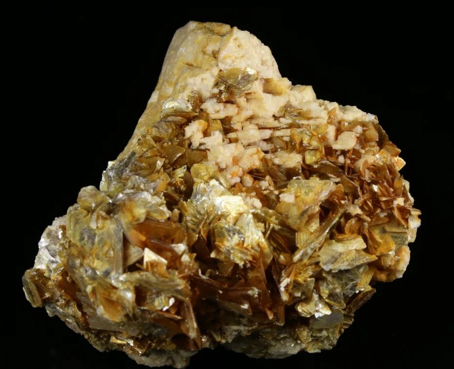 Muscovite